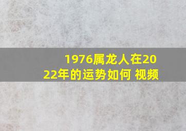 1976属龙人在2022年的运势如何 视频